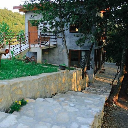 Donkey Farm Martinici - Farma Magaraca Martinici Danilovgrad Exterior foto