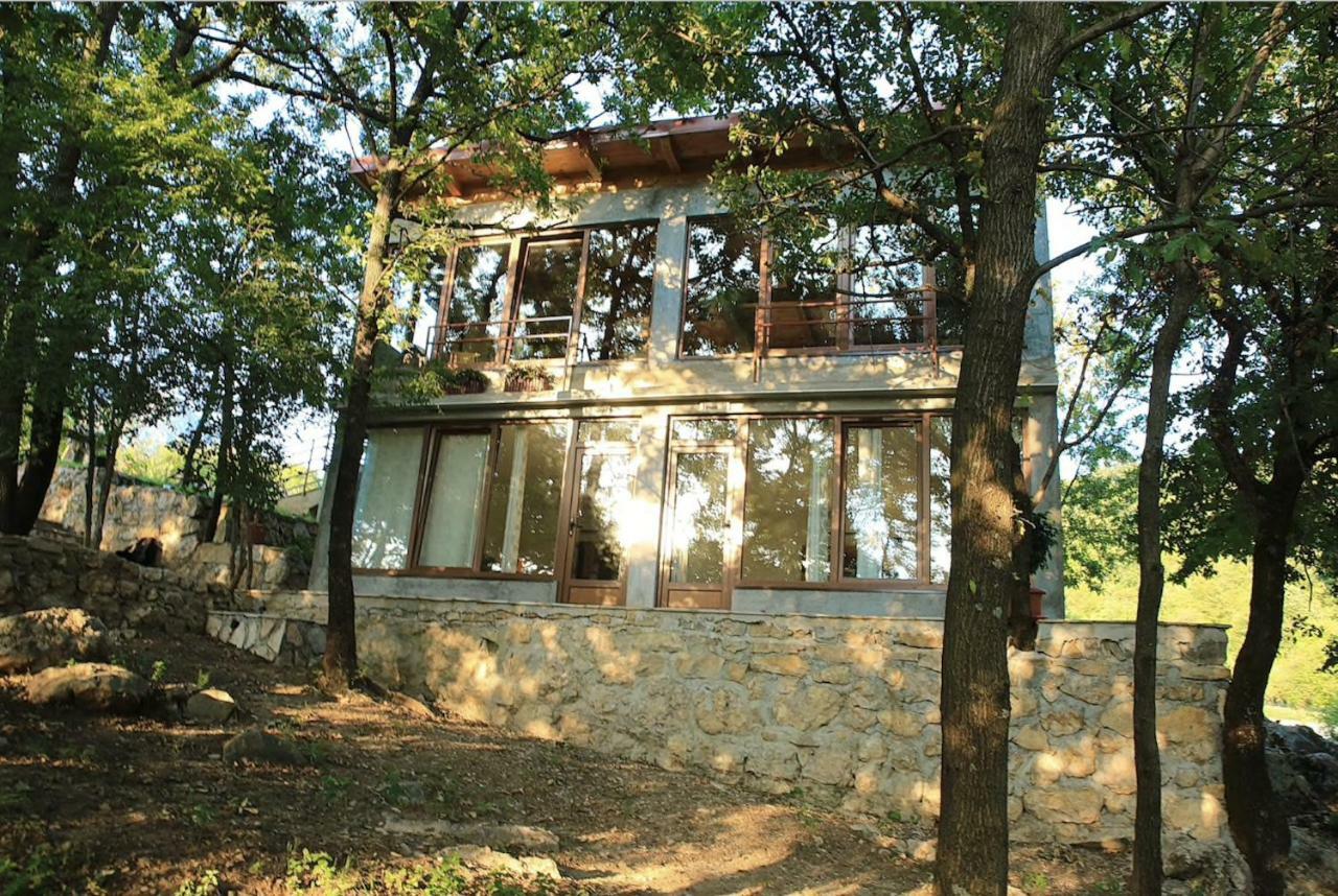 Donkey Farm Martinici - Farma Magaraca Martinici Danilovgrad Exterior foto